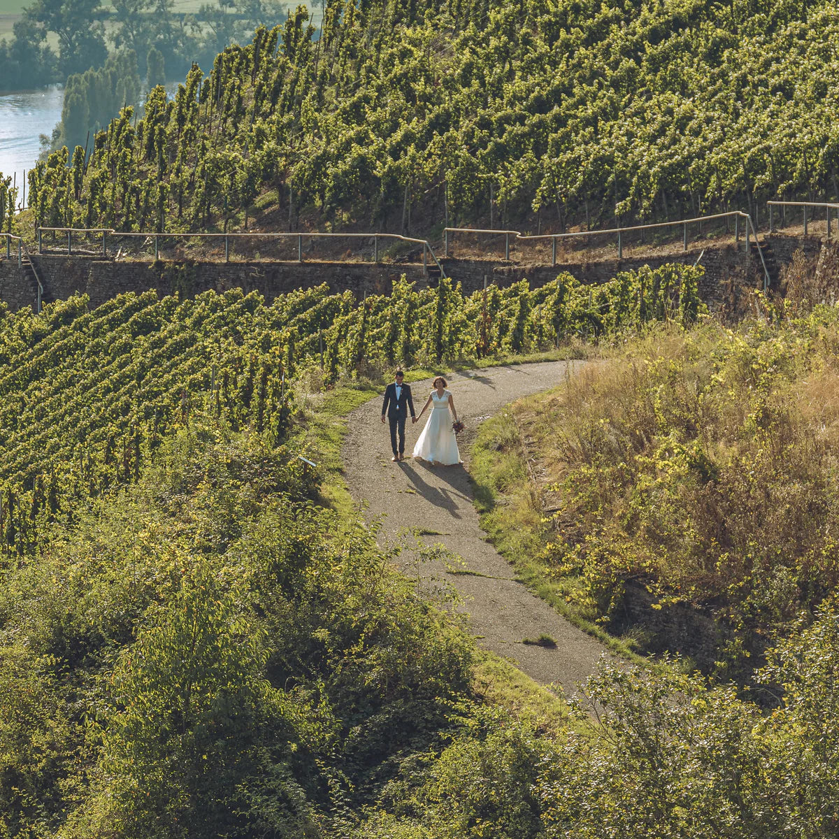 Traubenlese 2024 & Herbstgenuss