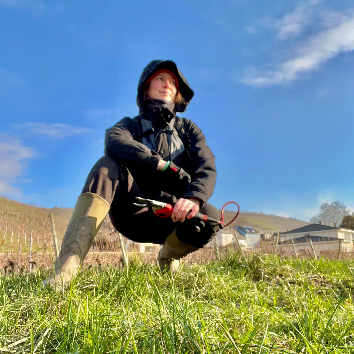 Rebschnitt & Weinwanderungen 2024