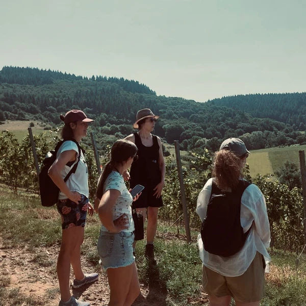 Lagenliebe Hoffest & Tafel & Wein