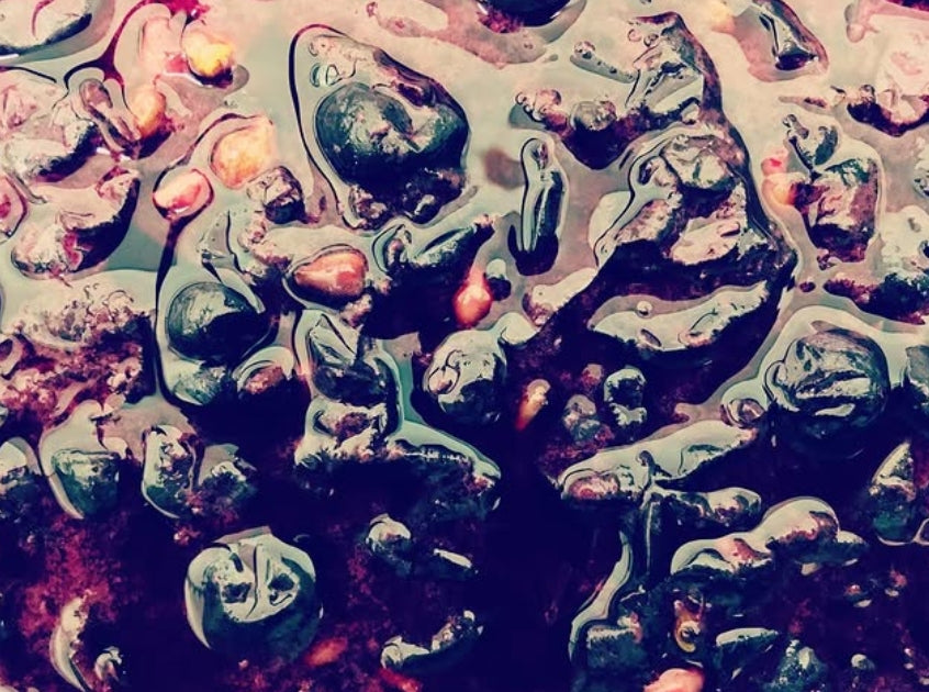 🍷 Deep Red Sea – So entsteht unser Spätburgunder vom Schweicher Annaberg