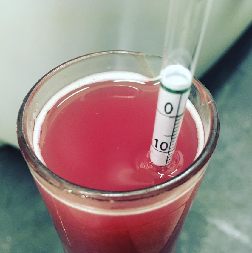 🍷 Gärkontrolle im Weinkeller – so begleiten wir unsere Weine auf ihrem Weg