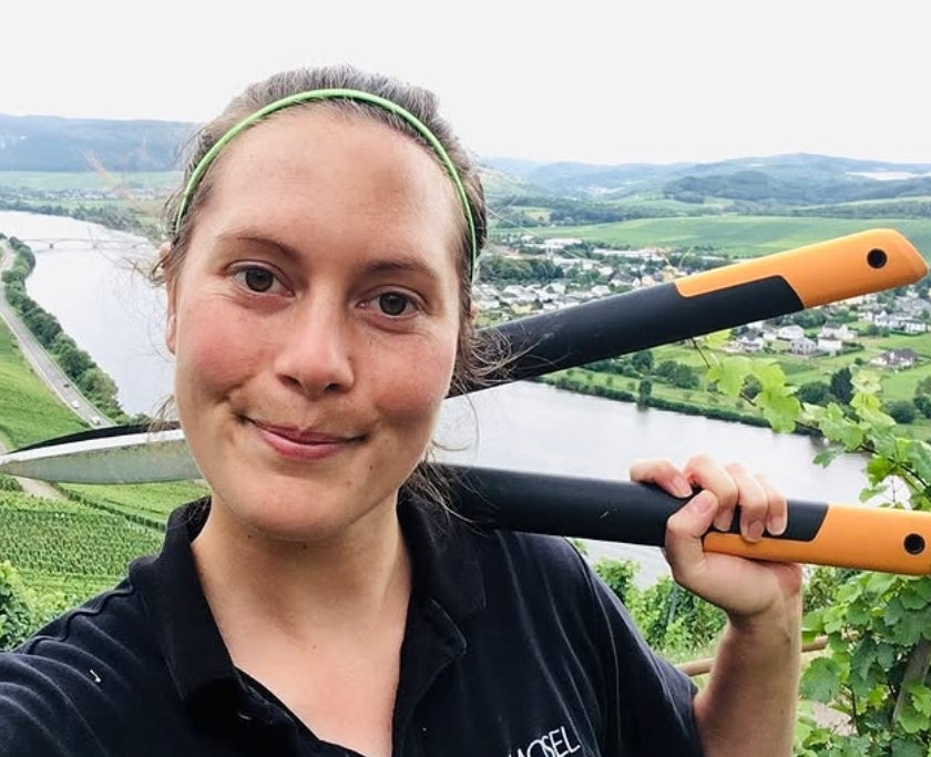 🍇 Gippeln im Weinberg – Sommer-Workout mit Laubschere & Aussicht