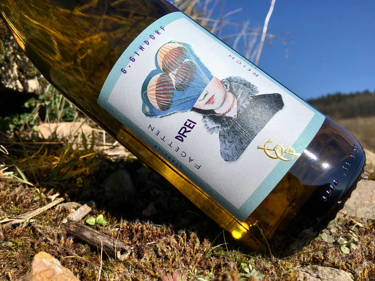 Nachhaltig, mutig, neu gedacht: Cabernet Blanc – unser Facettenreich DREI