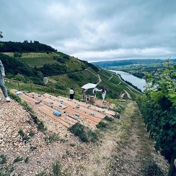 Sommer im Weingut Gindorf – Weinbar, Strausswirtschaft & Hoffest