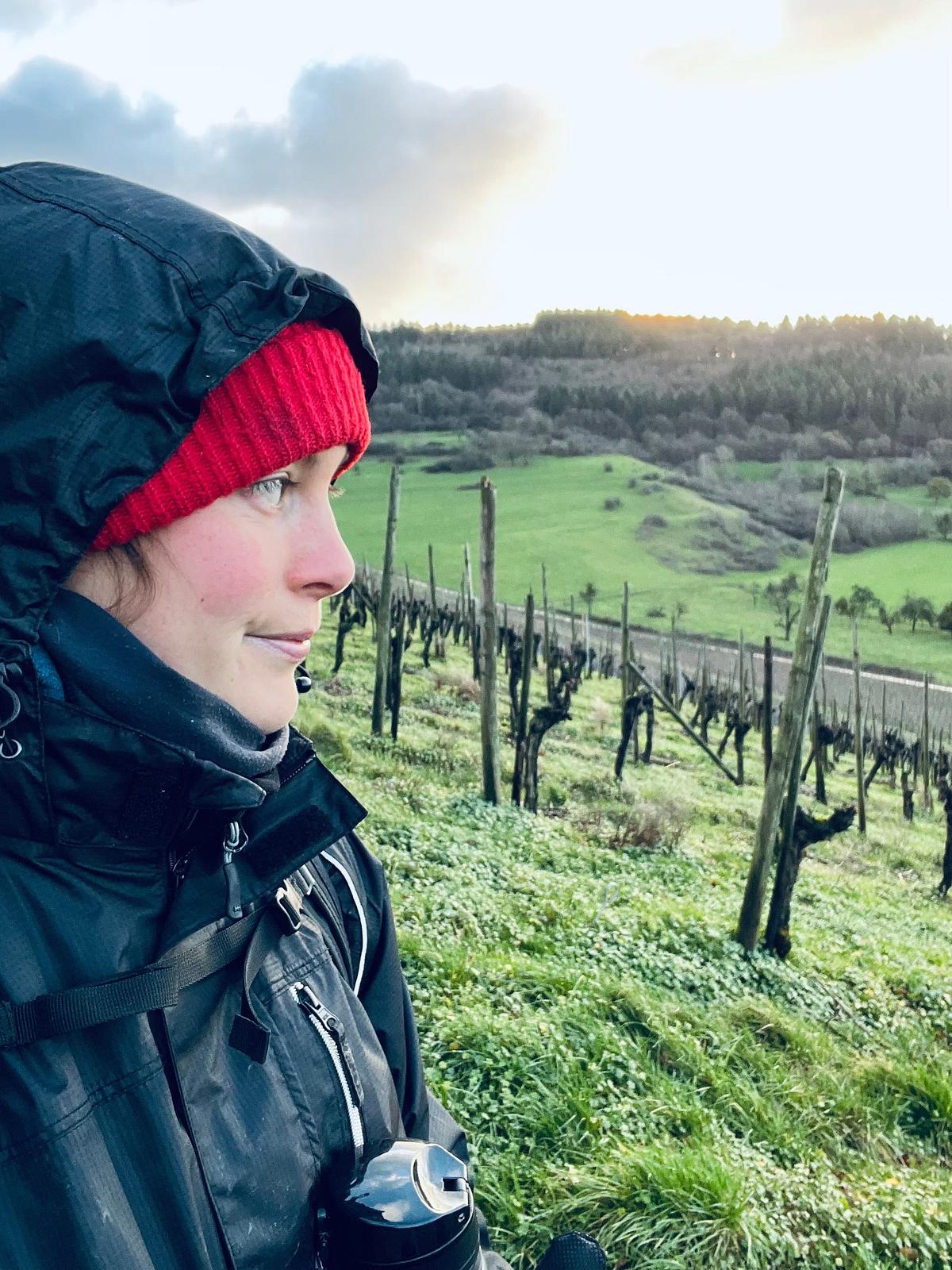 Neues Jahr, Rebschnitt & Onlineweinprobe