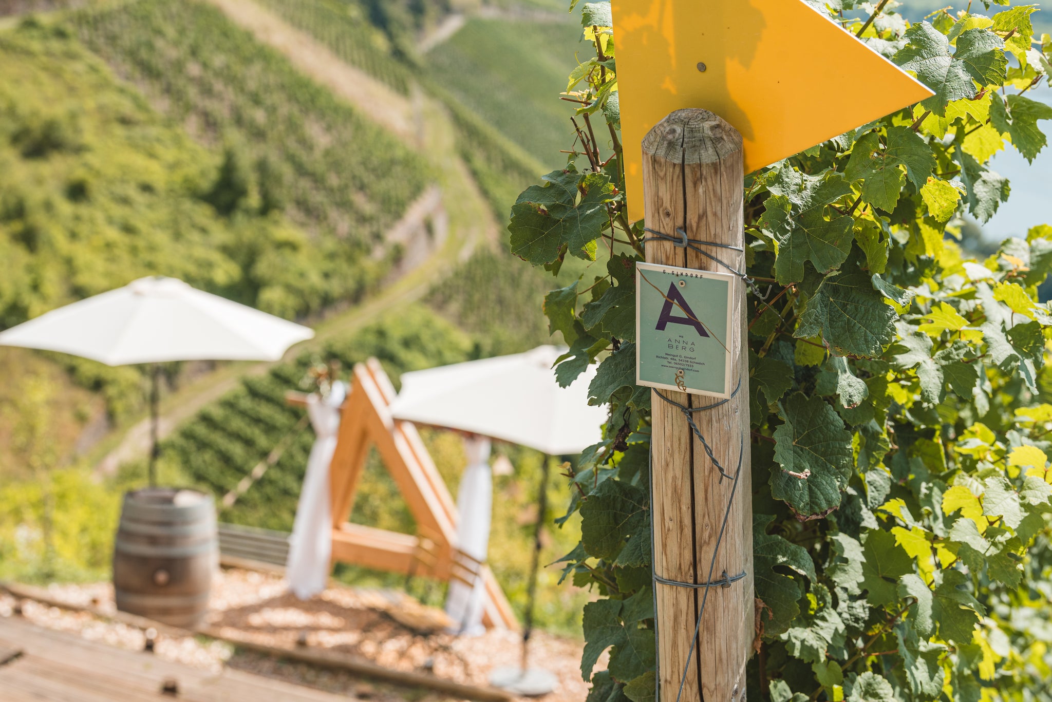 Holzpfosten mit gelbem Wegweiser und Annaberg-Riesling-Schild im Weinberg Gindorf an der Mosel; im Hintergrund gemütliche Weinwander-Lounge mit Liegen und Sonnenschirmen über den steilen Rebhängen der Mittelmosel.