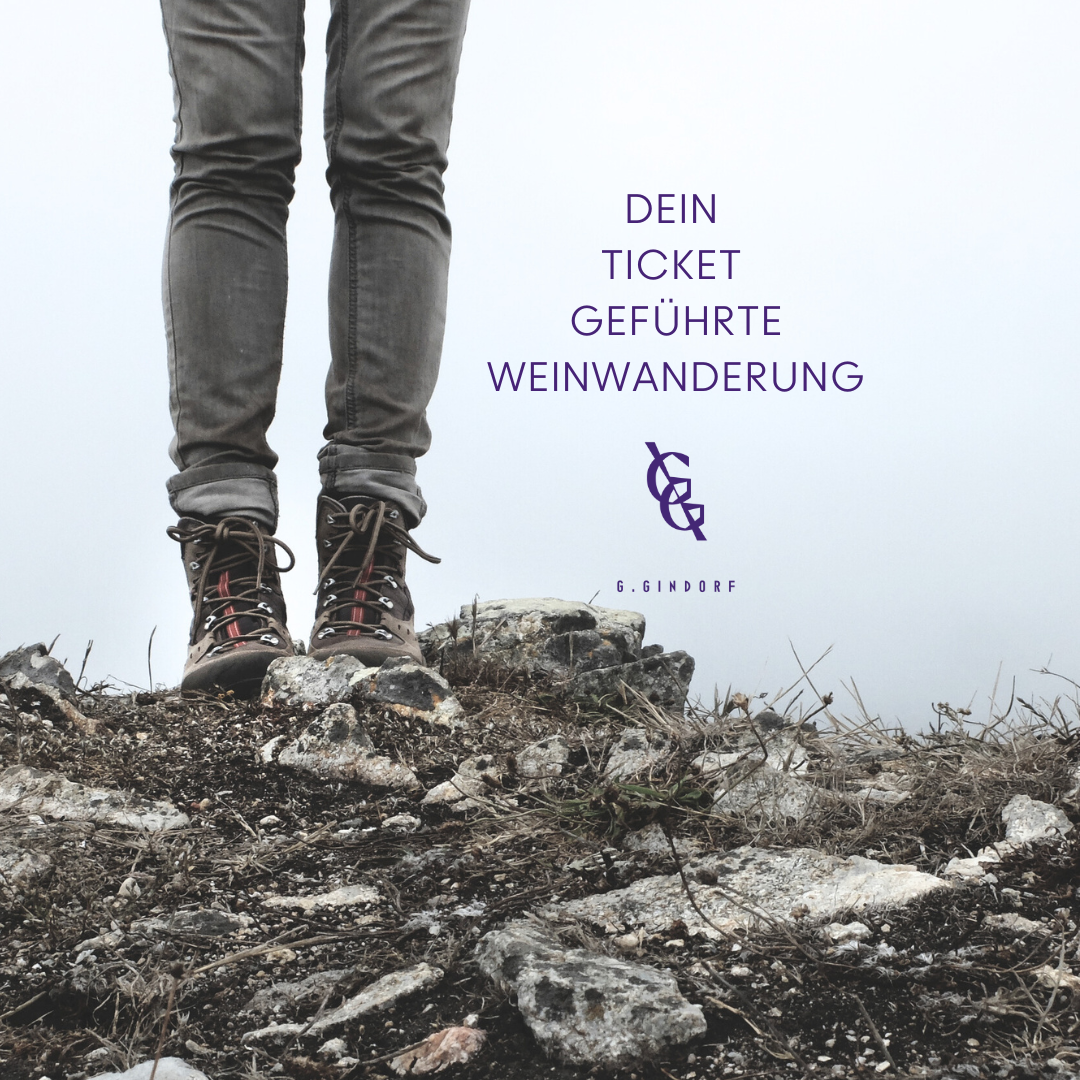 Dein Ticket Geführte Weinwanderung Digital
