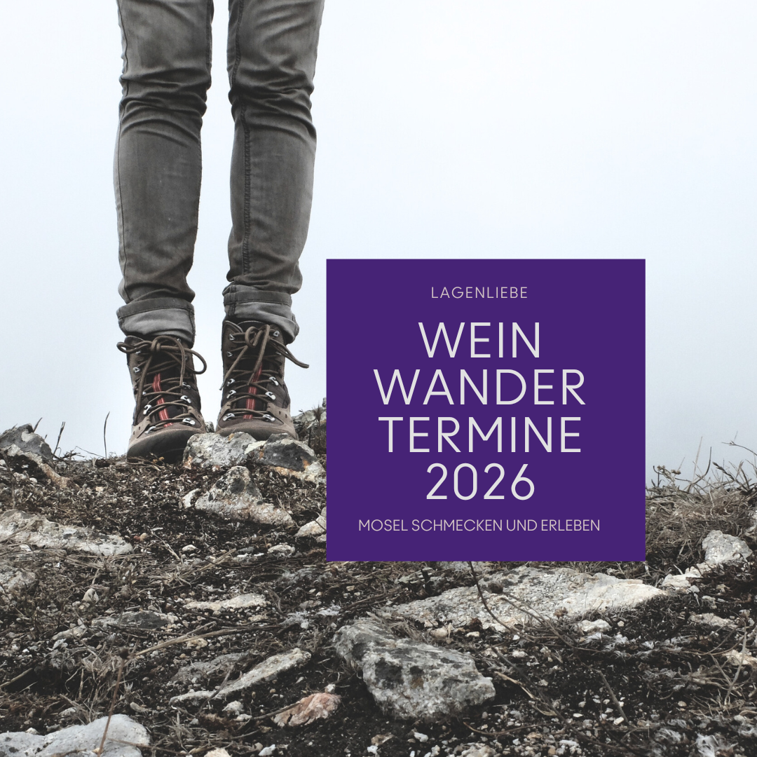 Wanderer mit Wanderschuhen auf steinigem Boden in den Mosel-Weinbergen – Ankündigung der Lagenliebe Weinwander-Termine 2026 rund um Schweich, Mosel. Erlebniswandern und Weinverkostung im Weingut Gindorf.