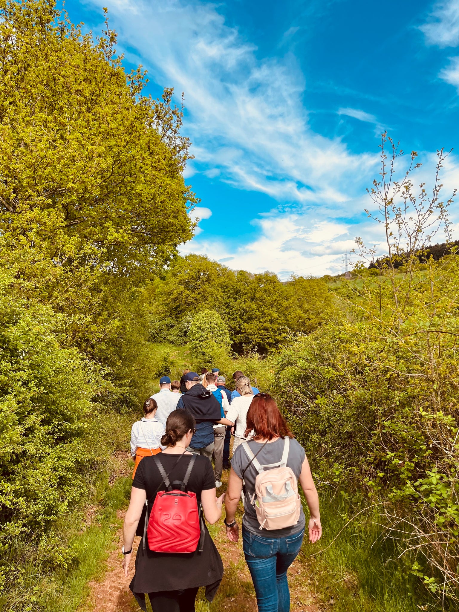Gruppe von Wandernden auf einem naturbelassenen Pfad durch grünes Wald- und Buschland bei sonnigem Wetter – gemeinsames Erlebnis auf dem Lagenliebe Weinwanderweg.