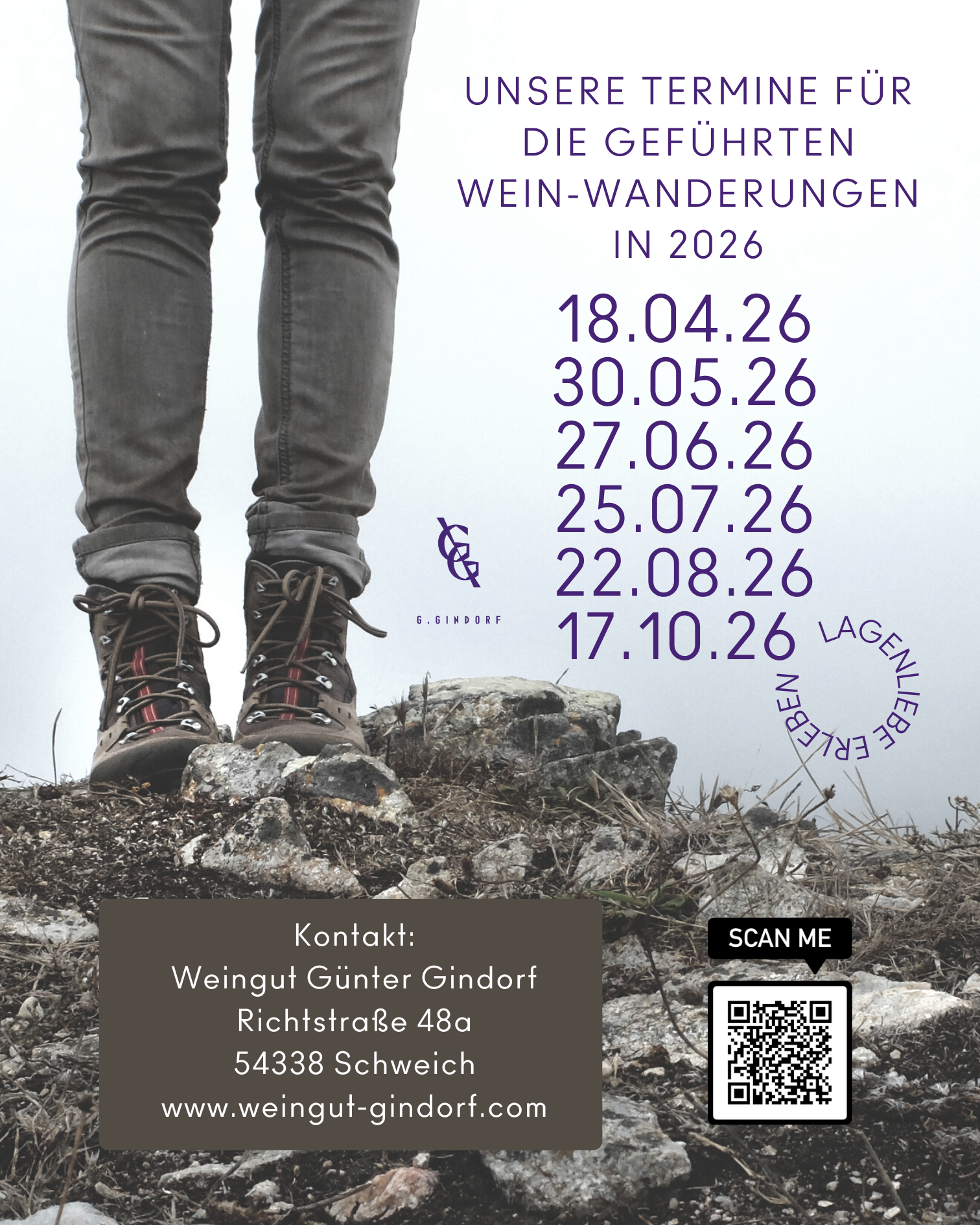 Plakat mit Terminen der geführten Weinwanderungen 2026 vom Weingut Günter Gindorf, mit Foto von Wanderstiefeln auf einem Felsen, Kontaktinfos und QR-Code.