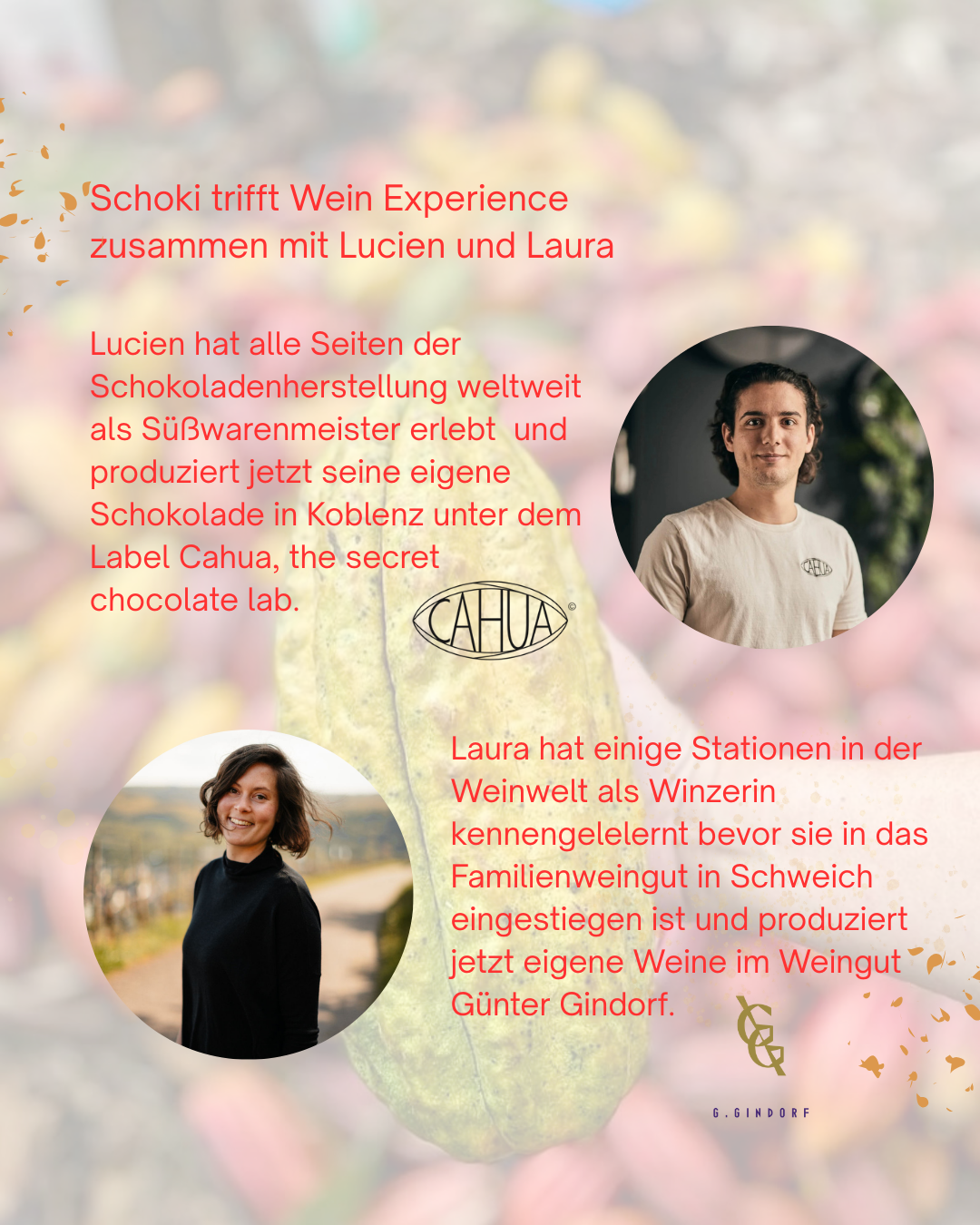 Dein Ticket Schokolade & Wein Tasting Digital